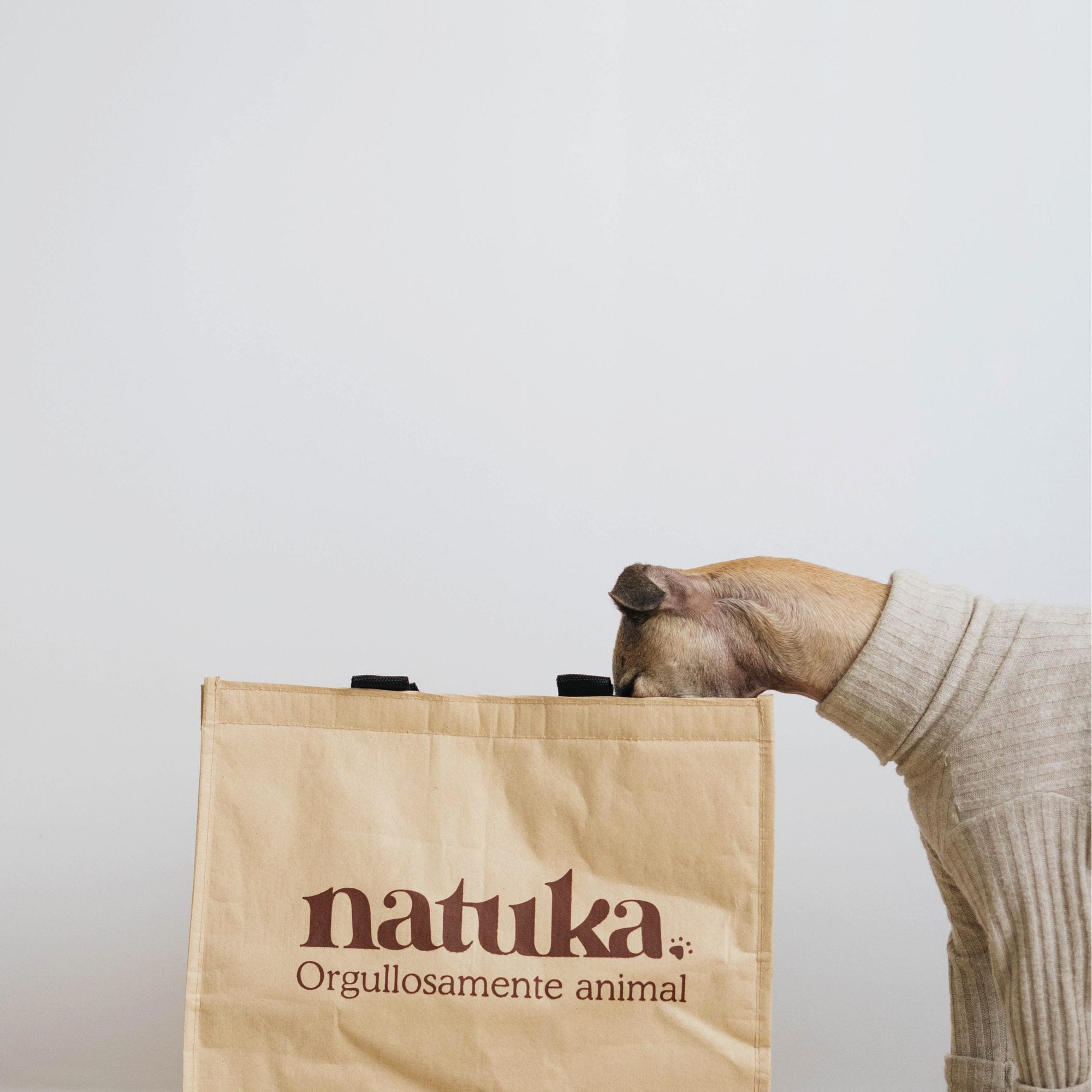 Persona sosteniendo una bolsa de papel kraft con logotipo de marca de alimentos naturales para animales