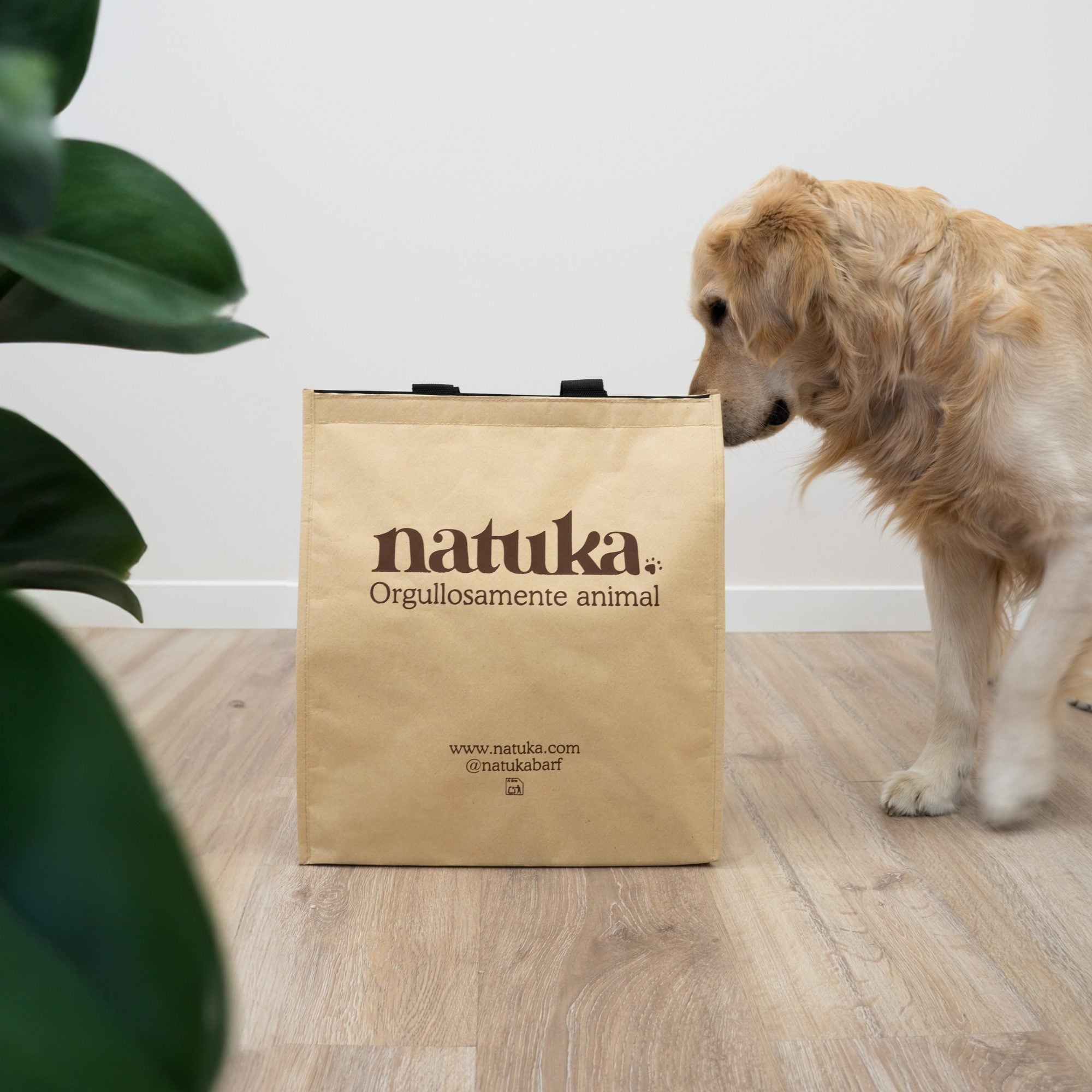 Perro golden retriever oliendo una bolsa de papel kraft de marca de alimentos naturales